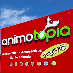 photo miniature de l'article